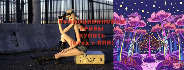 твердый Алексеевка