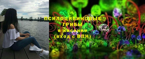твердый Алексеевка