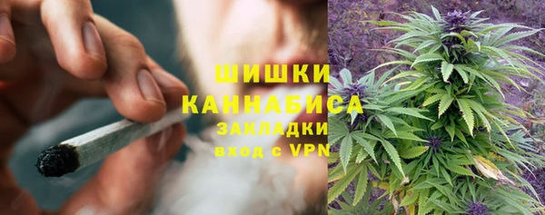 молекула духа Слюдянка