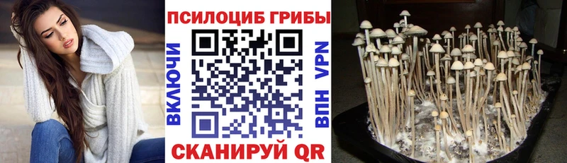 что такое наркотик  Красноуральск  Галлюциногенные грибы мицелий 